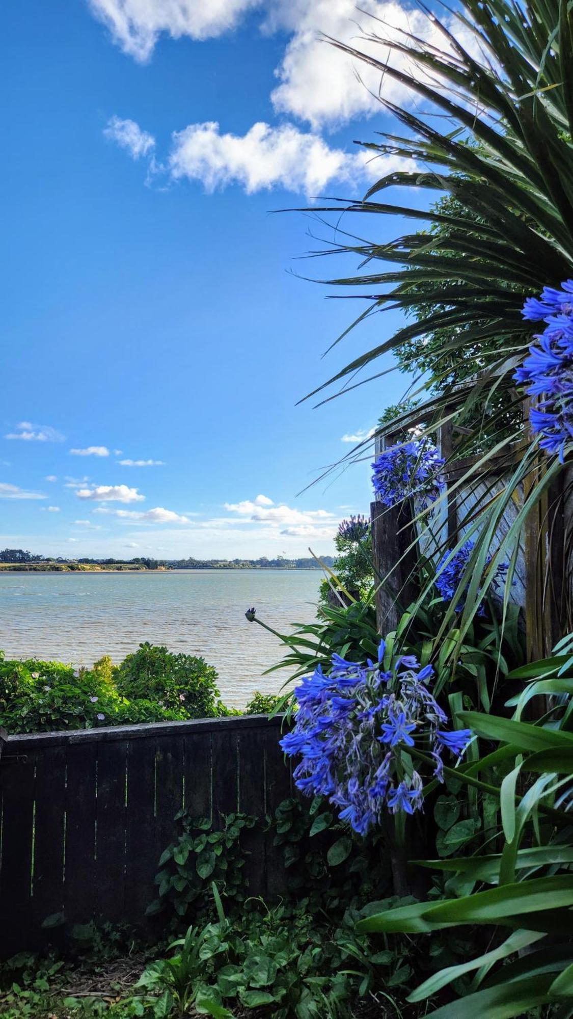 Private Guest Suite Near The Airport 1-4 Guests Auckland Ngoại thất bức ảnh